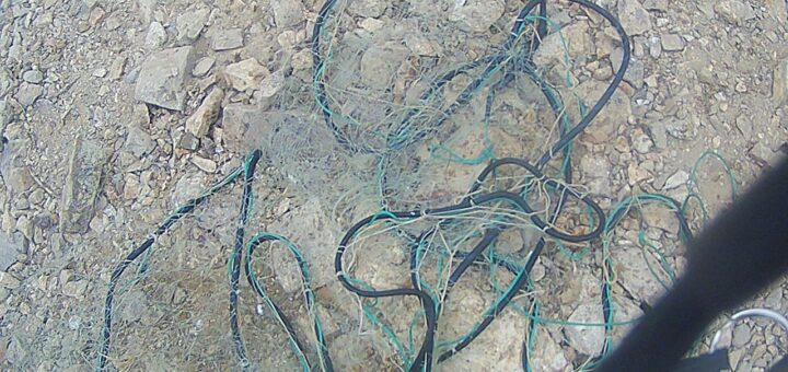 Уважаемые пользователи!