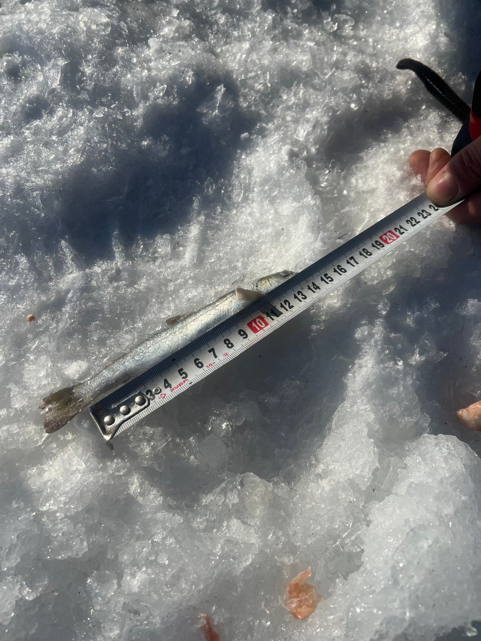 О результатах контрольных мероприятий рыбоохраны Охотского ТУ Росрыболовства  за 1 квартал 2025 года