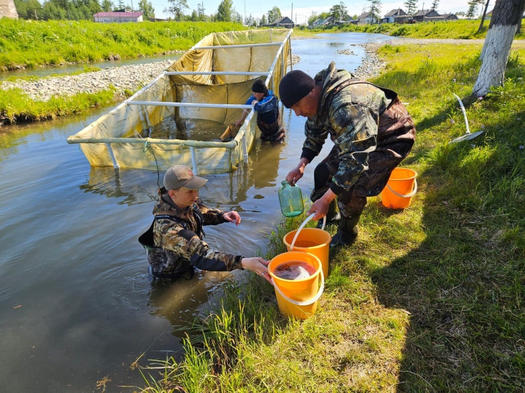 Реестр заключённых договоров на выполнение работ по искусственному воспроизводству водных биологических ресурсов на 2025 год.
