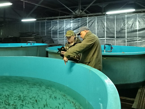 Объявление о внесении изменений в приложение к приказу Росрыболовства от 24 ноября 2022 г. № 116-О